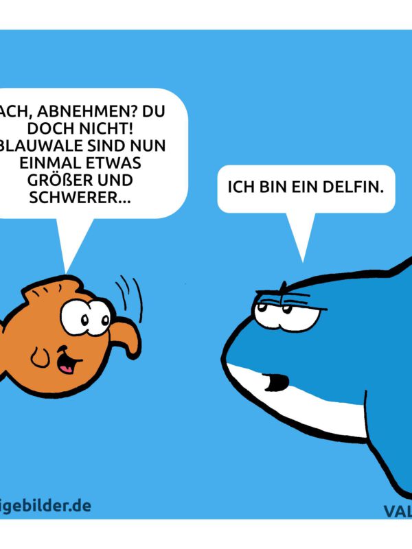 Blauwal Delfin Cartoon