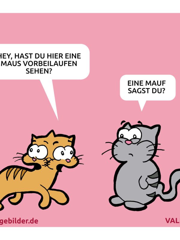 Katzen Cartoon